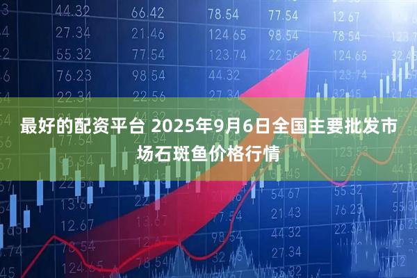 最好的配资平台 2025年9月6日全国主要批发市场石斑鱼价格行情